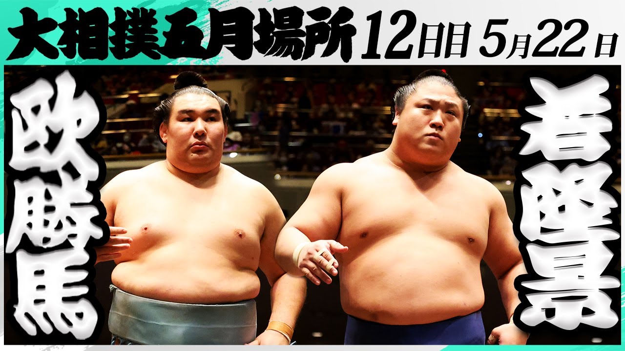 大相撲 欧勝馬ー若隆景<令和7年五月場所・12日目>SUMO