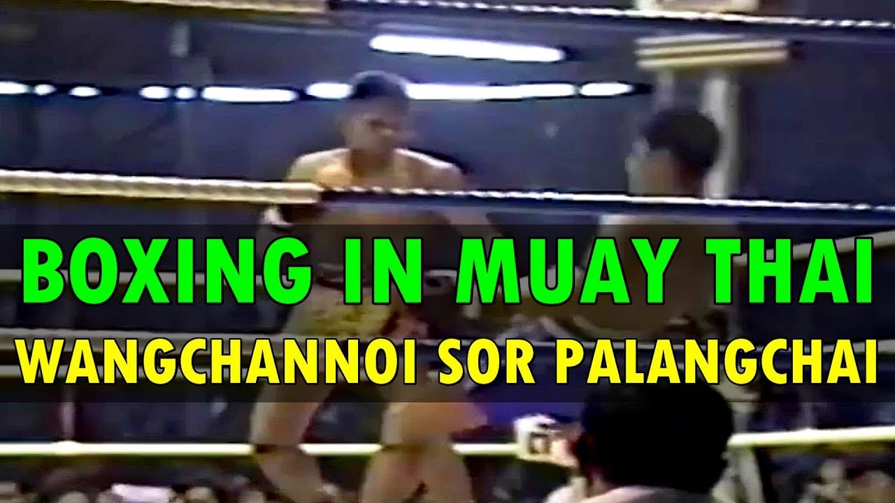 Boxing in Muay Thai - Wangchannoi Sor Palangchai (วังจั่นน้อย ส.พลังชัย) | Highlights background