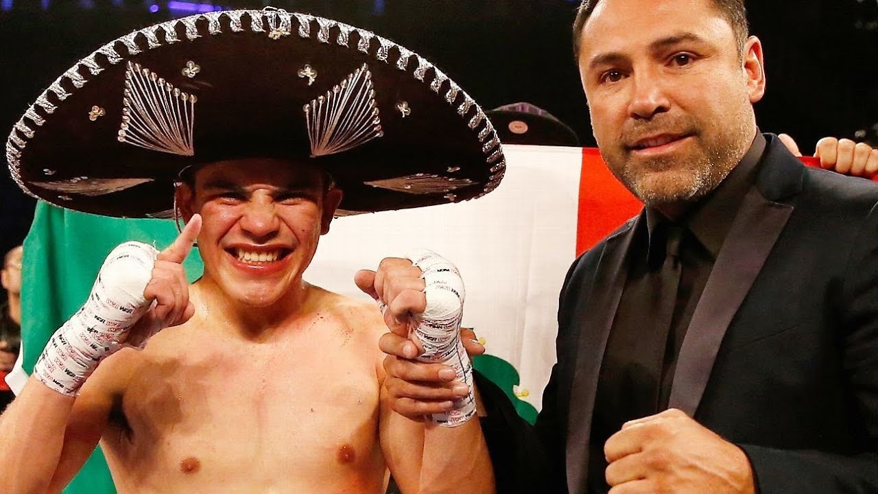 Diego De La Hoya - Highlights / Knockouts