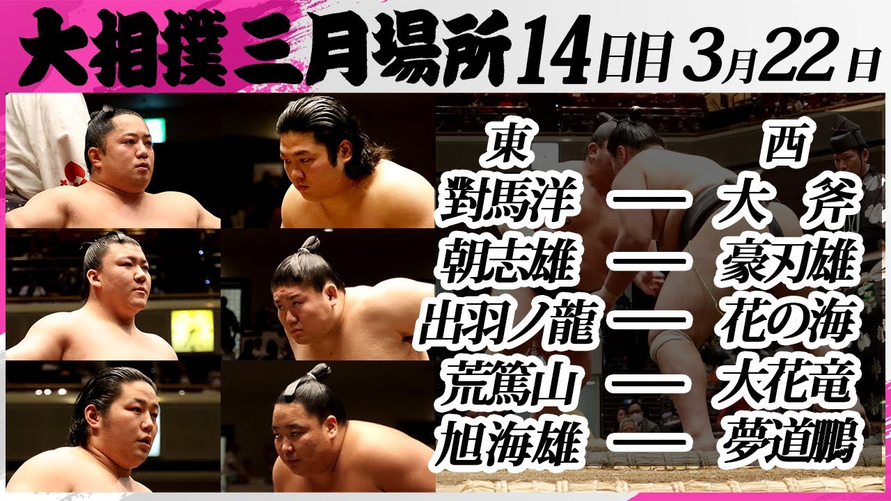 大相撲 幕下上位5番<令和7年三月場所・14日目>SUMO background