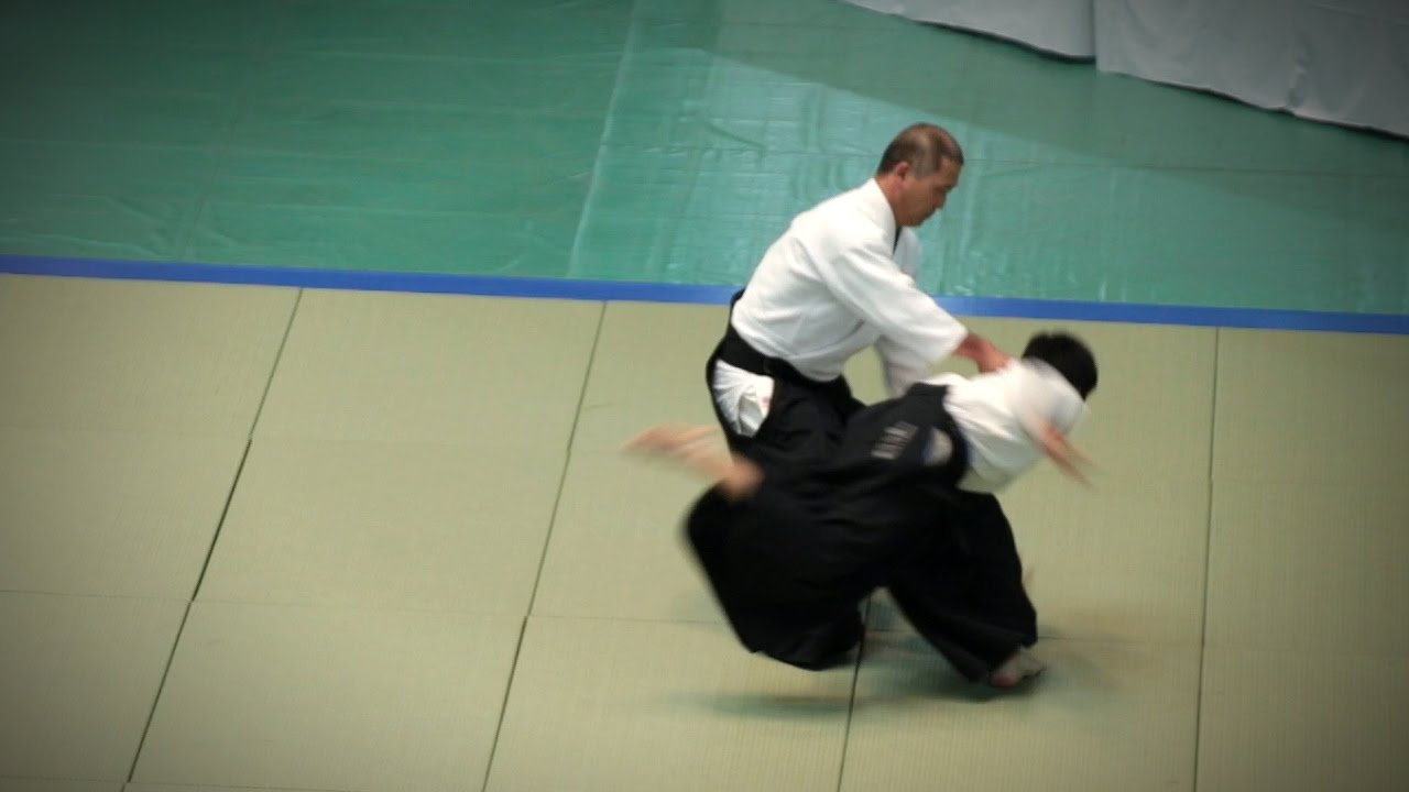 Aikikai Aikido - Horii Etsuji Shihan - 54th All Japan Aikido Demonstration (2016) background