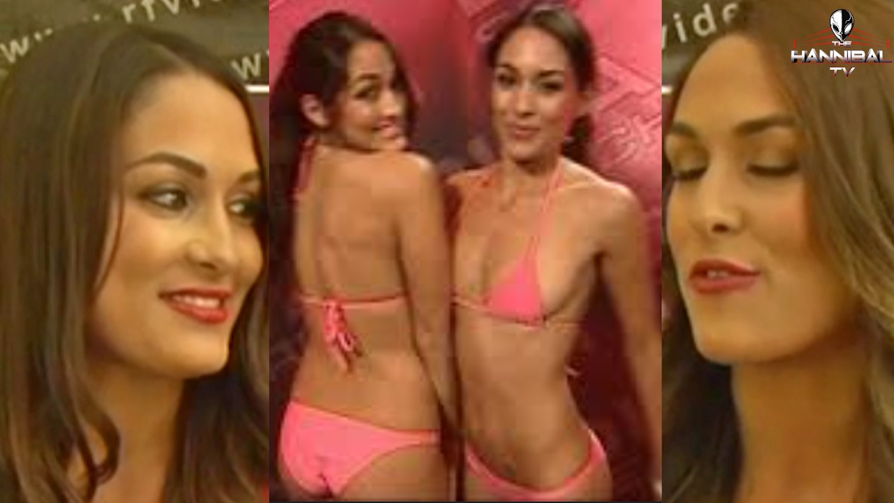 Bella Twins on Why They Didn't Win Diva Search?