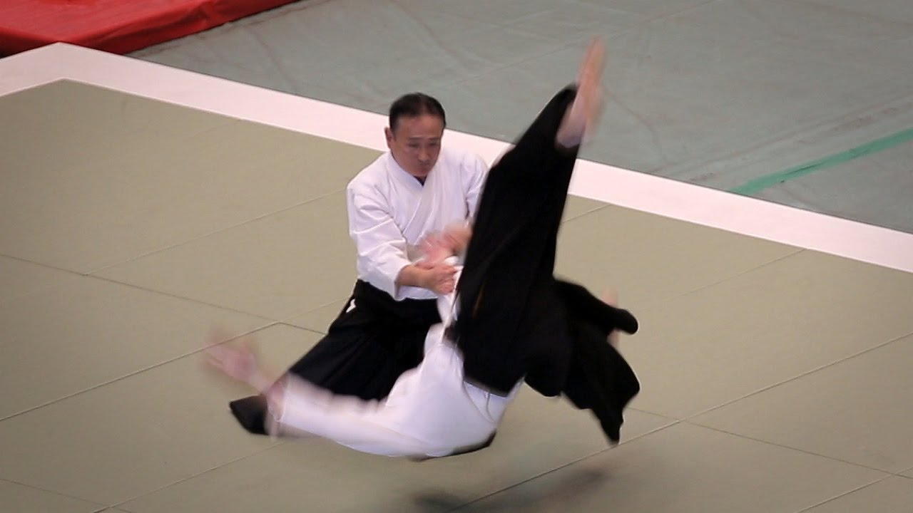 Aikido - Yokota Yoshiaki Shihan - 53rd All Japan Aikido Demonstration (2015) background
