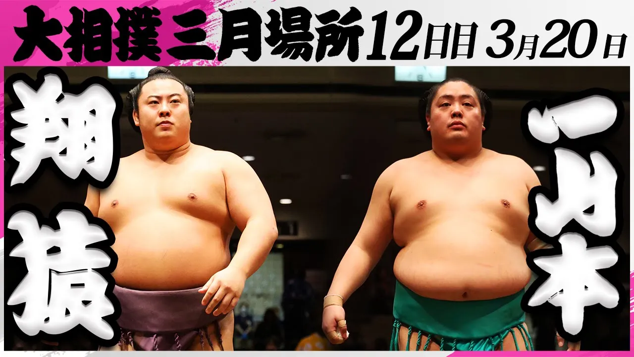 大相撲 翔猿ー一山本<令和7年三月場所・12日目>SUMO background