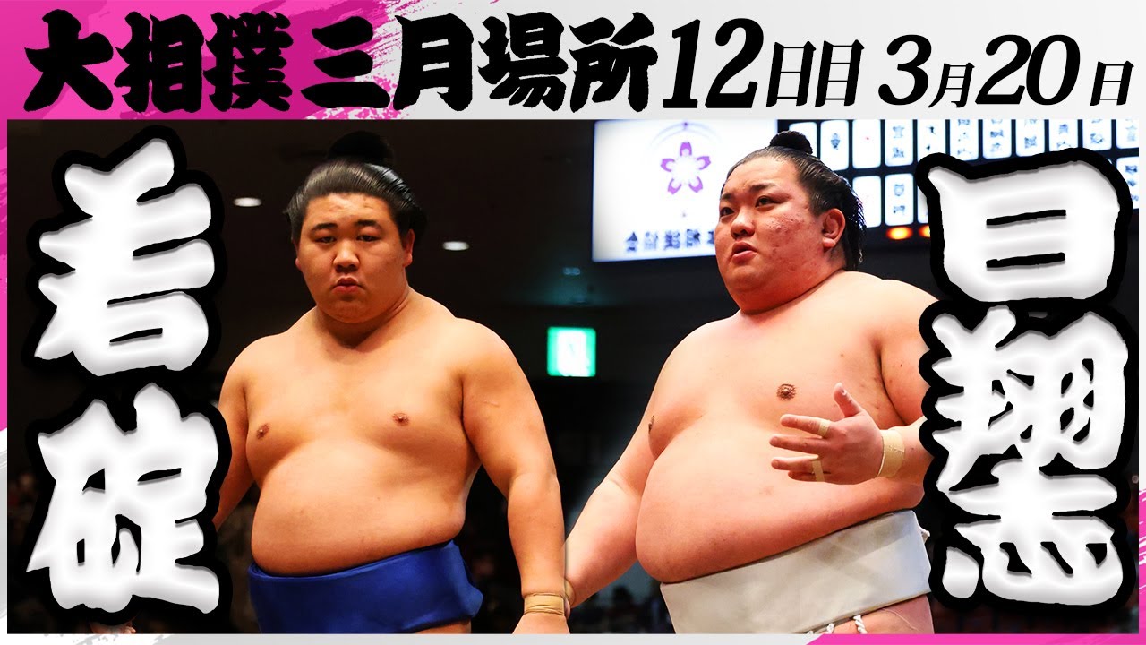 大相撲 若碇(伊勢ノ海部屋)ー日翔志(追手風部屋)<令和7年三月場所・12日目>SUMO background