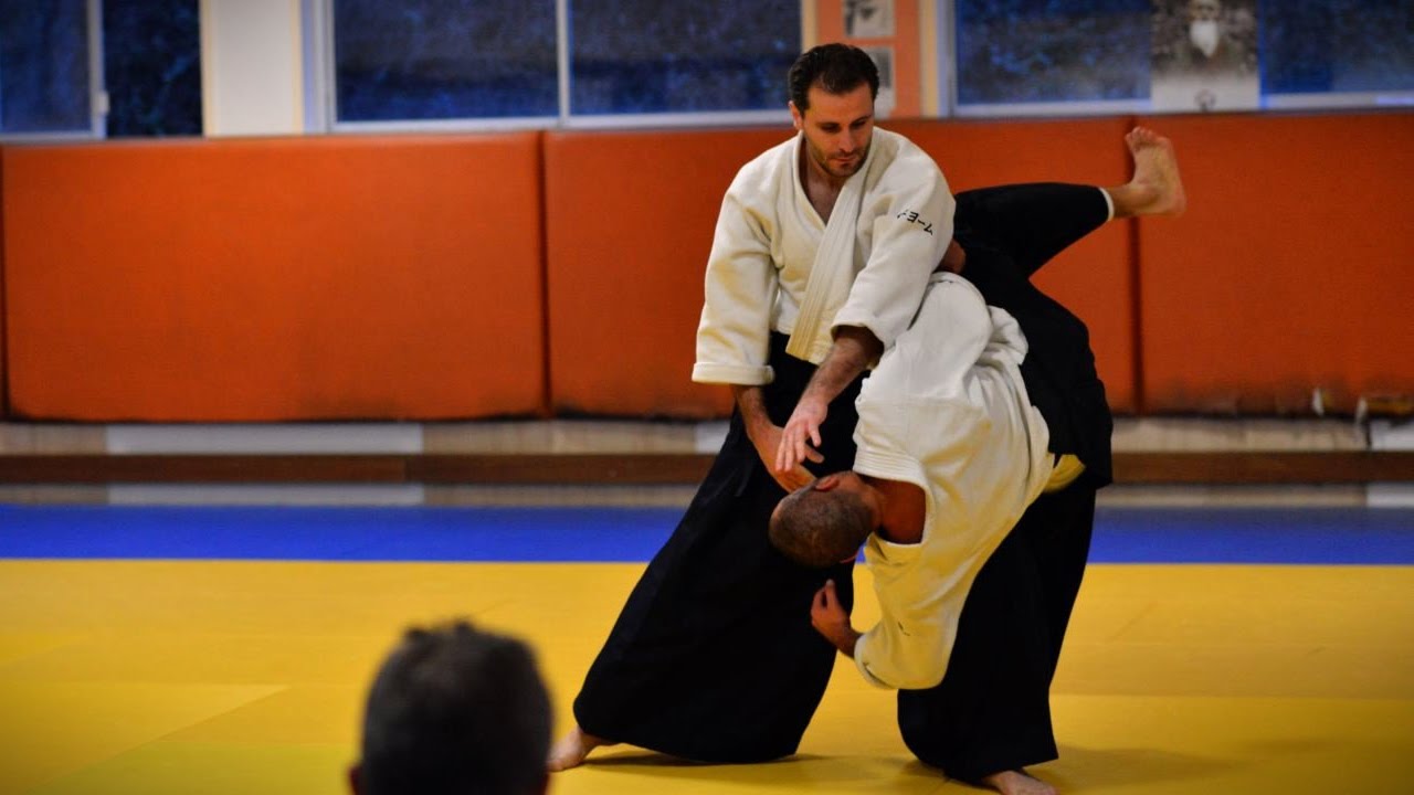 Aikido - Guillaume Erard seminar in Besançon (December 2014)