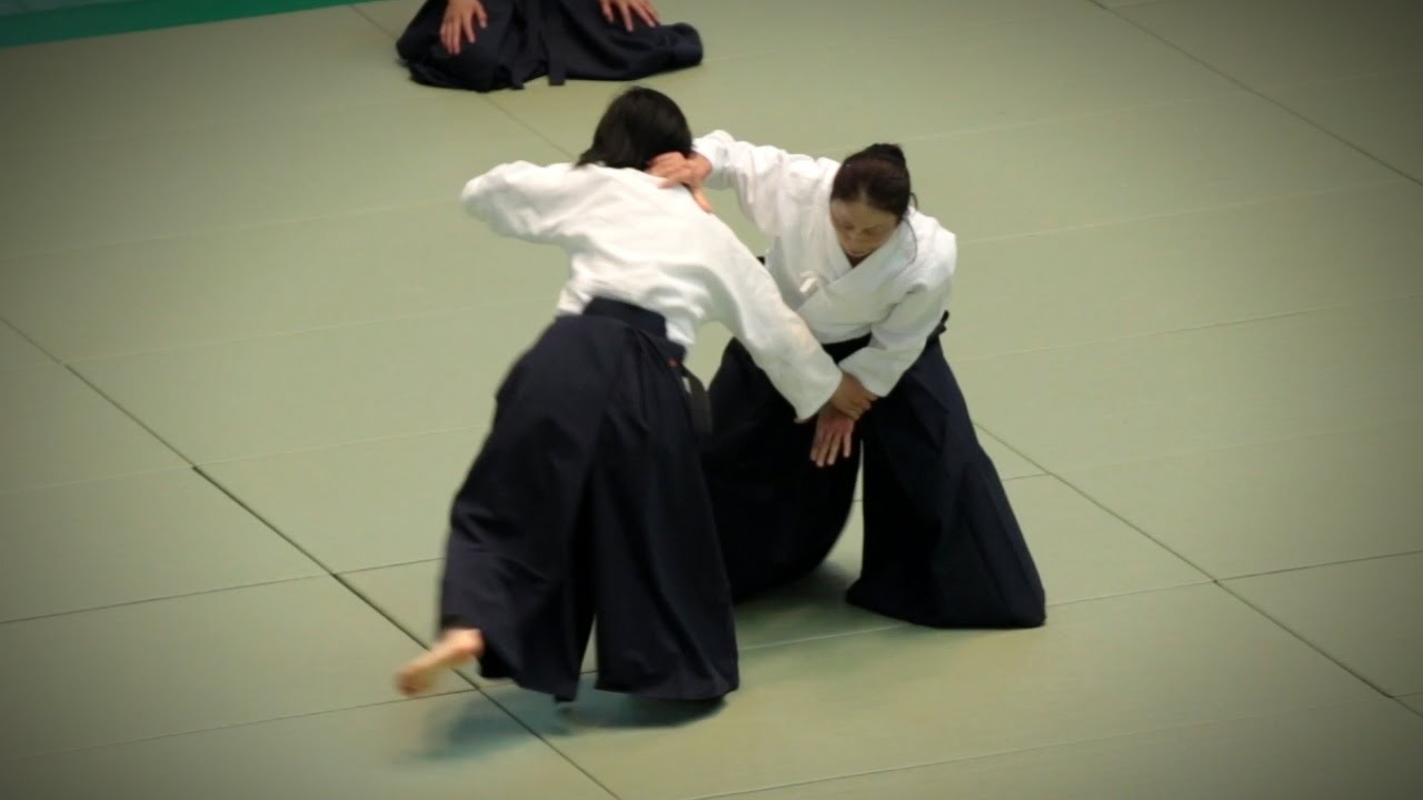 Aikikai Aikido - Okamoto Yoko Shihan - 54th All Japan Aikido Demonstration (2016) background