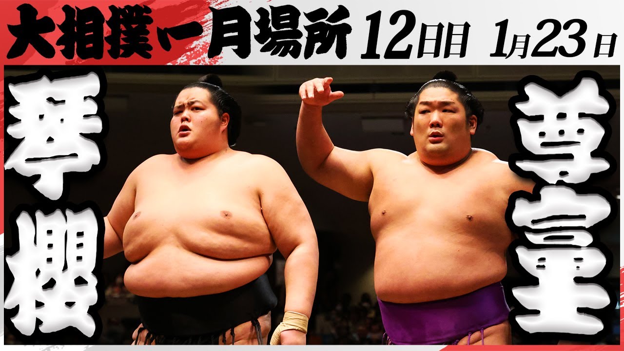 大相撲 琴櫻ー尊富士<令和7年一月場所・12日目>SUMO background
