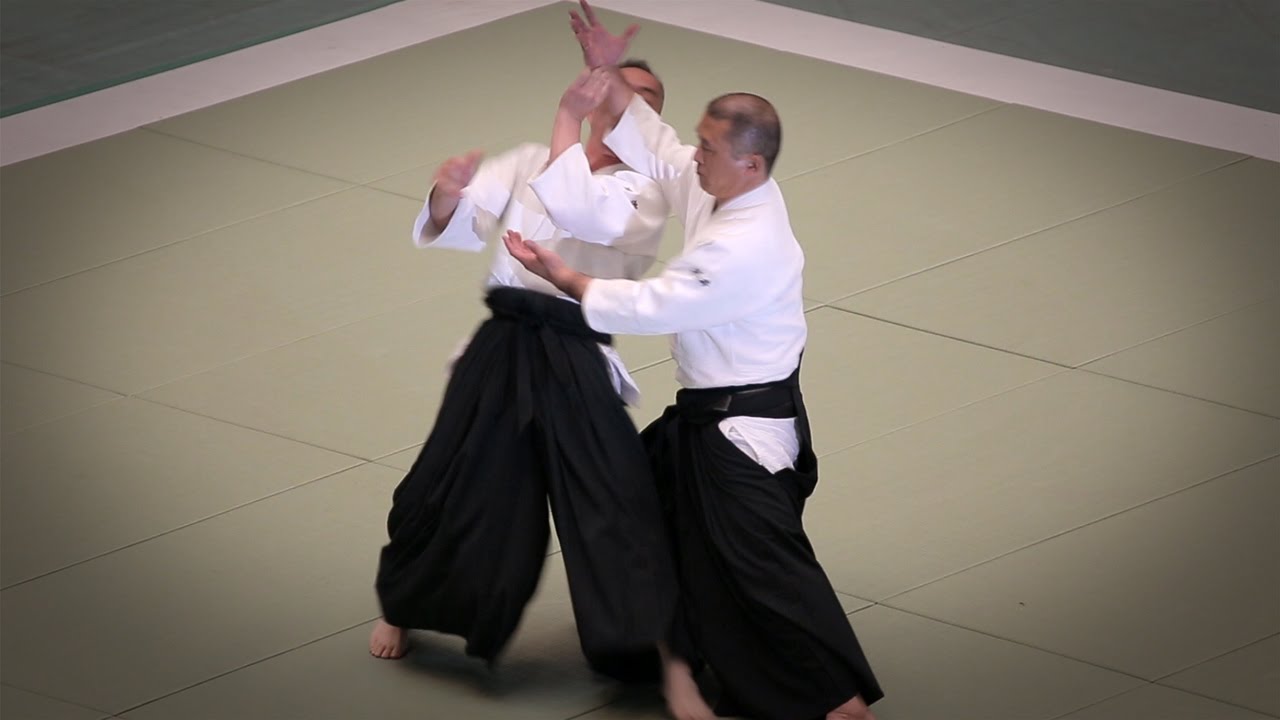 Aikido - Horii Etsuji Shihan - 53rd All Japan Aikido Demonstration (2015)