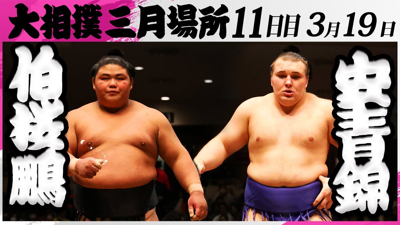 大相撲 伯桜鵬ー安青錦<令和7年三月場所・11日目>SUMO background