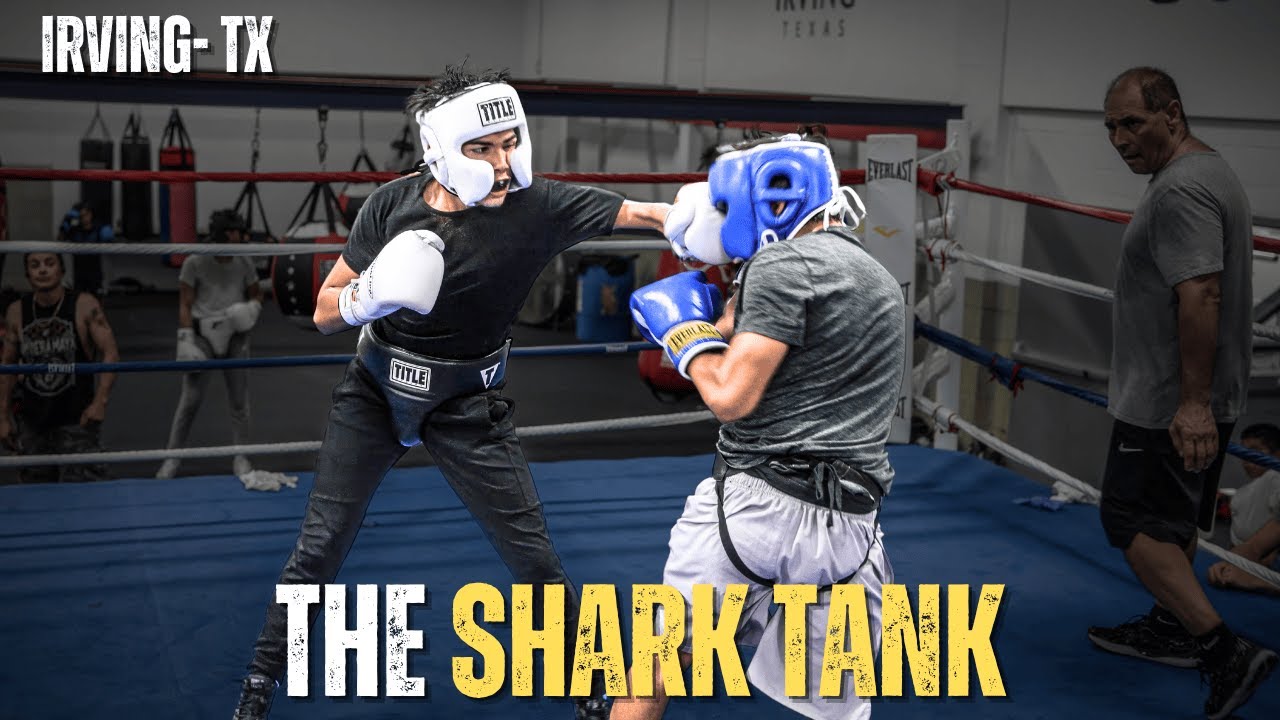 SHARK TANK! Amateur Boxers Spar BACK TO BACK In the Ring! background
