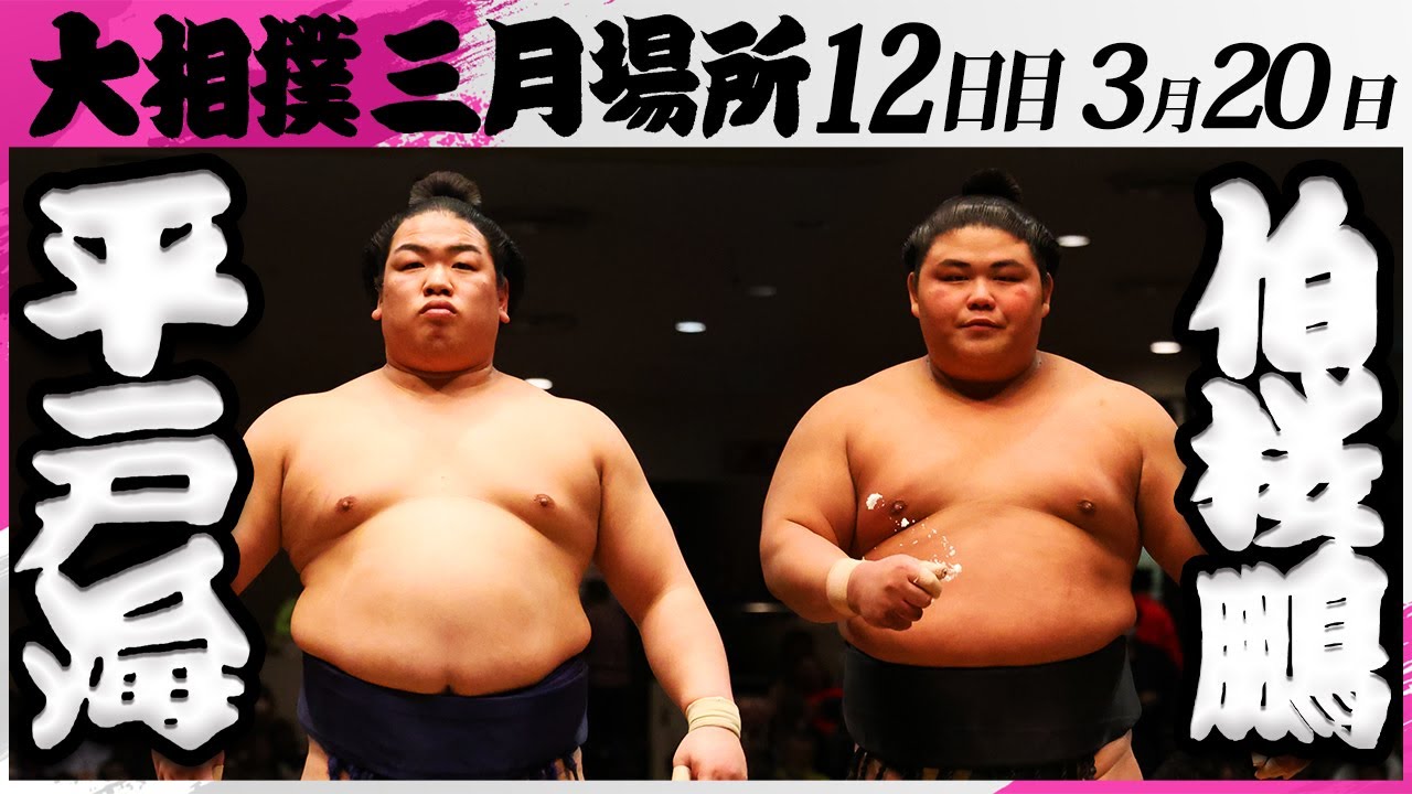 大相撲 平戸海ー伯桜鵬<令和7年三月場所・12日目>SUMO