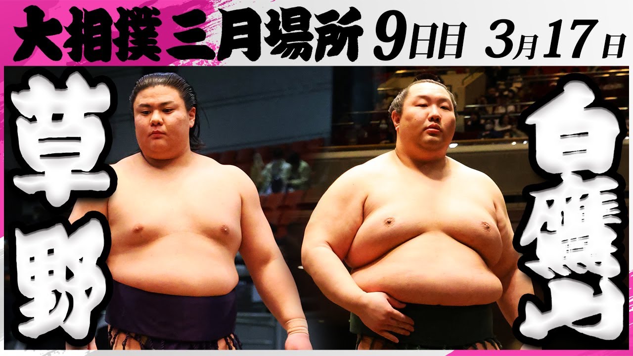 大相撲 草野(伊勢ヶ濱部屋)ー白鷹山(高田川部屋)<令和7年三月場所・9日目>SUMO