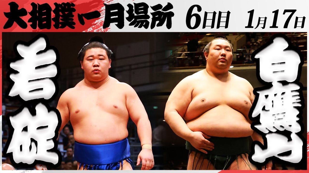大相撲 若碇ー白鷹山<令和7年一月場所・六日目>SUMO background