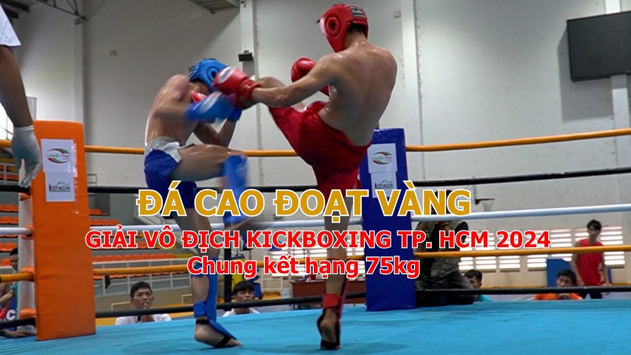 Nguyễn Thanh Tùng hạ đối thủ bằng những cú đá cao sấm sét background