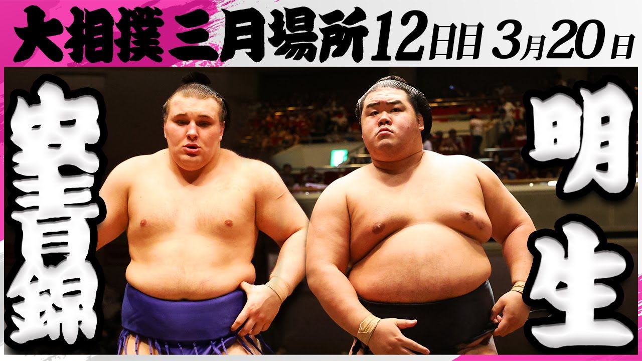 大相撲 安青錦ー明生<令和7年三月場所・12日目>SUMO background