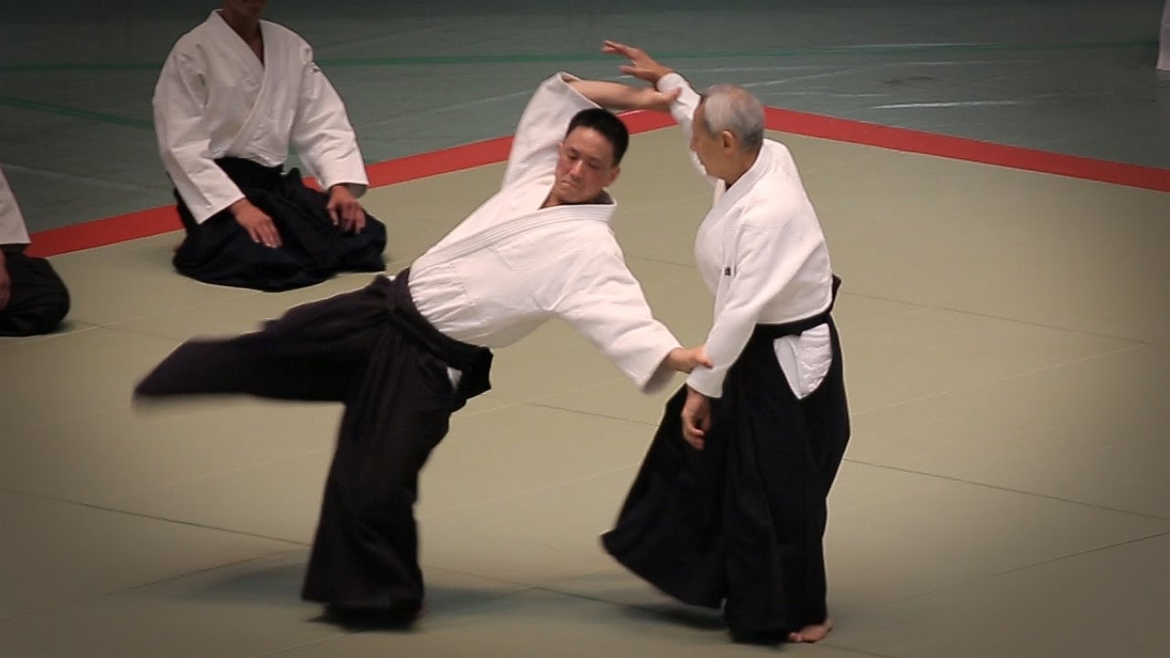 Aikido - Endo Seishiro Shihan - 53rd All Japan Aikido Demonstration (2015)