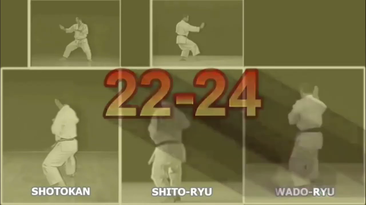 3 Different Karate Style Basai Dai Kata Steps backdrop