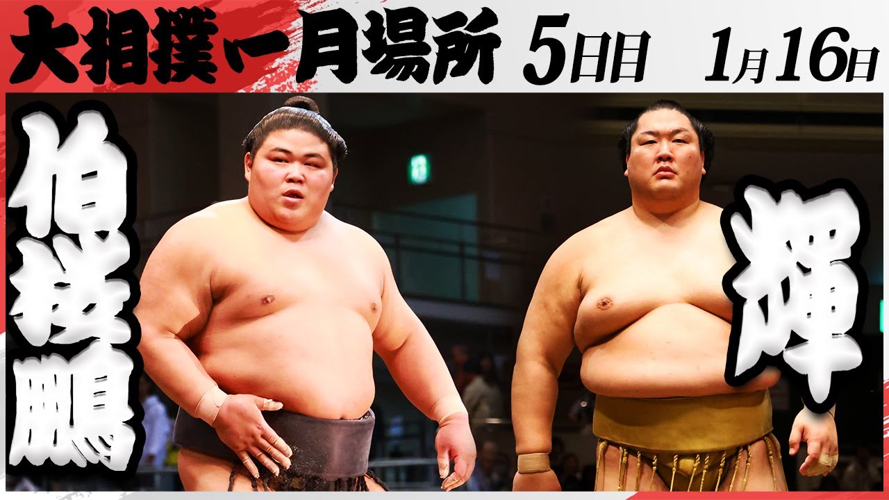 大相撲 伯桜鵬ー輝<令和7年一月場所・五日目>SUMO background