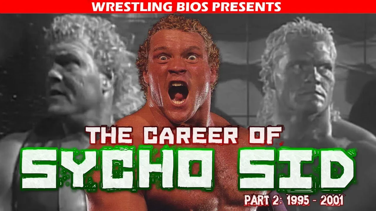 The Career of "Sycho" Sid Vicious: 1995 - 2001 background