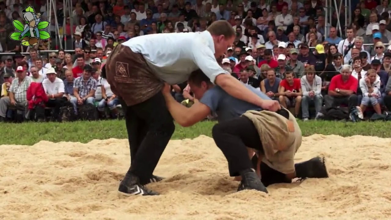Let's Examine Wrestling Styles Around The World - Okinawan, Swiss, Greco-Roman, Mongolian, Sambo