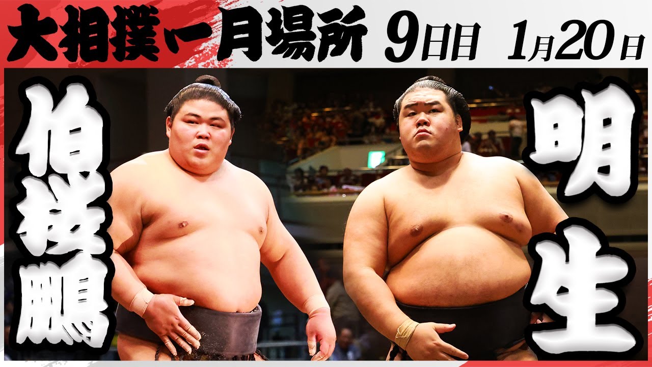 大相撲 伯桜鵬ー明生 <令和7年一月場所・9日目>SUMO background