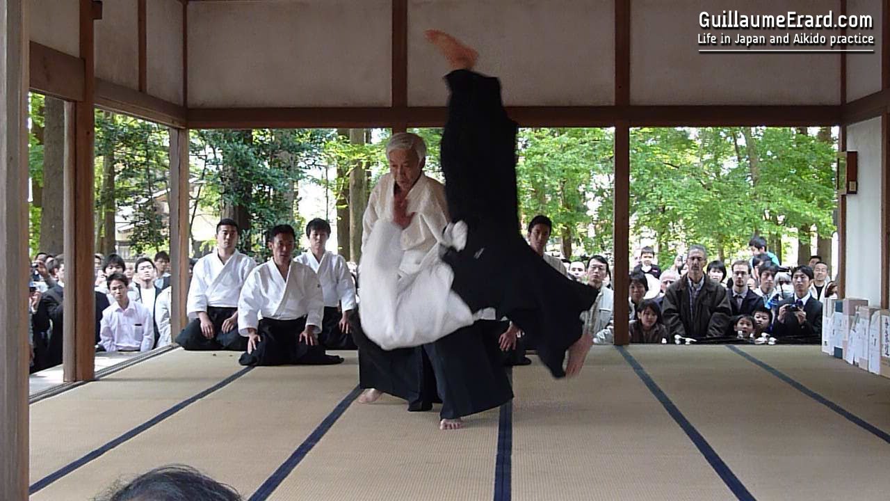 Aikido - Ueshiba Moriteru & Ueshiba Mitsuteru demonstration at the Aikijinja Taisai 2013 background