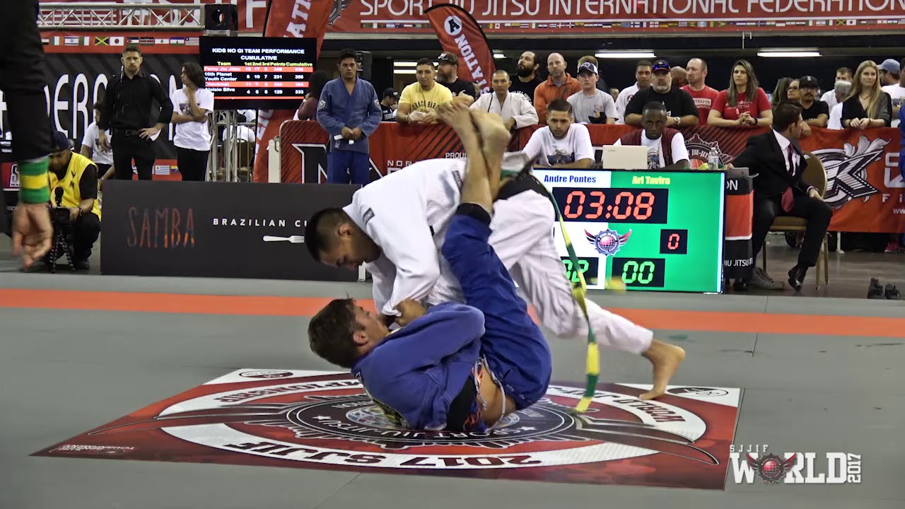 ANDRE PONTES VS ARI TAVIRA background