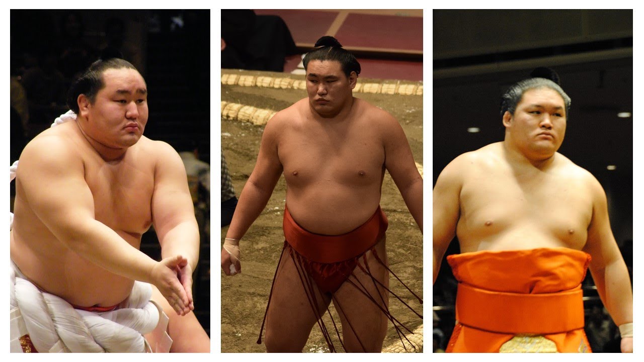 Asashoryu returns + other sumo news (Nov 10th)