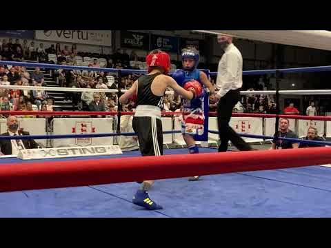 Happy Boxing Day 2021!