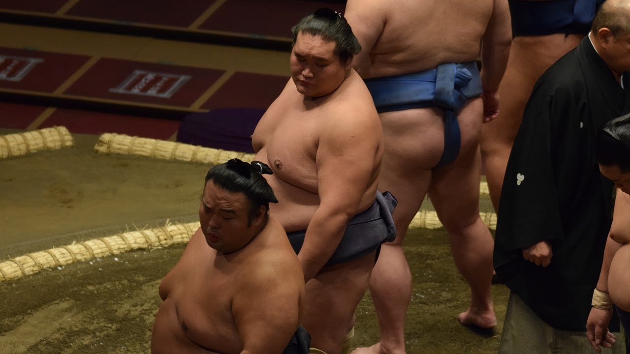 Sumo: Why so many infections? (Eyewitness account) background