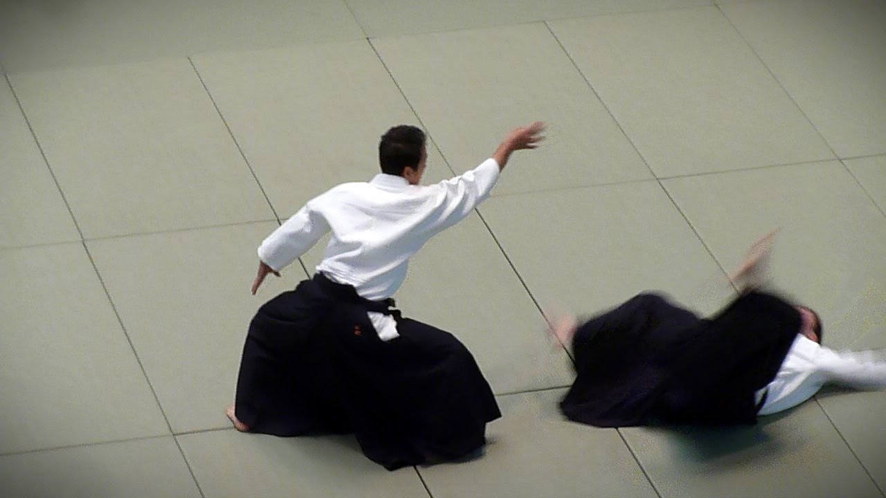Aikido - Yasuno Masatoshi Shihan - 51st All Japan Aikido Demonstration 2013