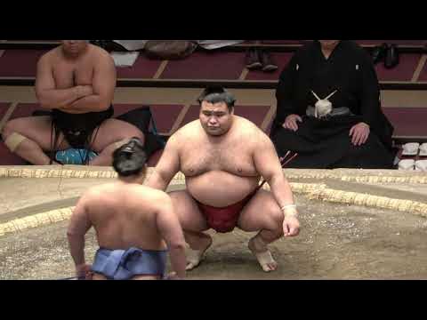 Sumo news (July 1st): Hakuho, Meisei, Takayasu, Wakatakakage