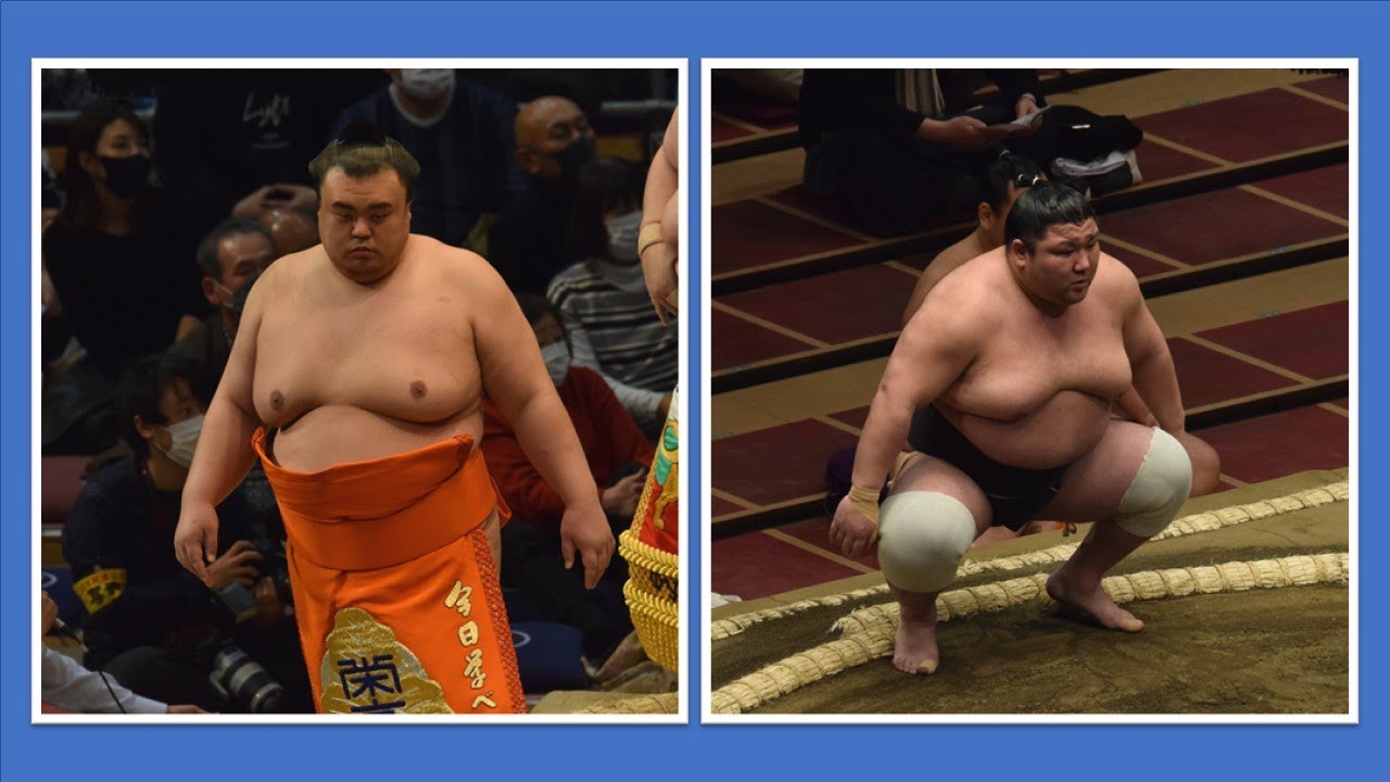 2 wrestlers suspended during gambling probe (Sumo News, Dec 22nd) background