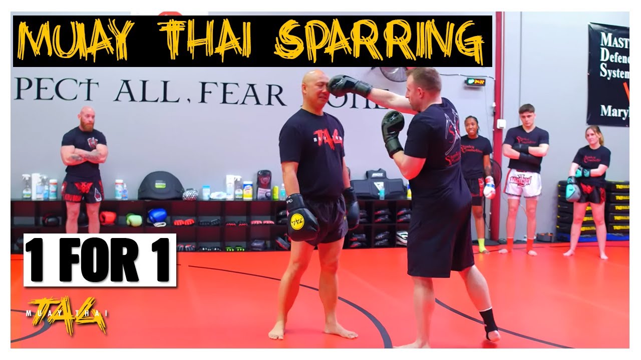 1 for 1 Muay Thai Sparring background
