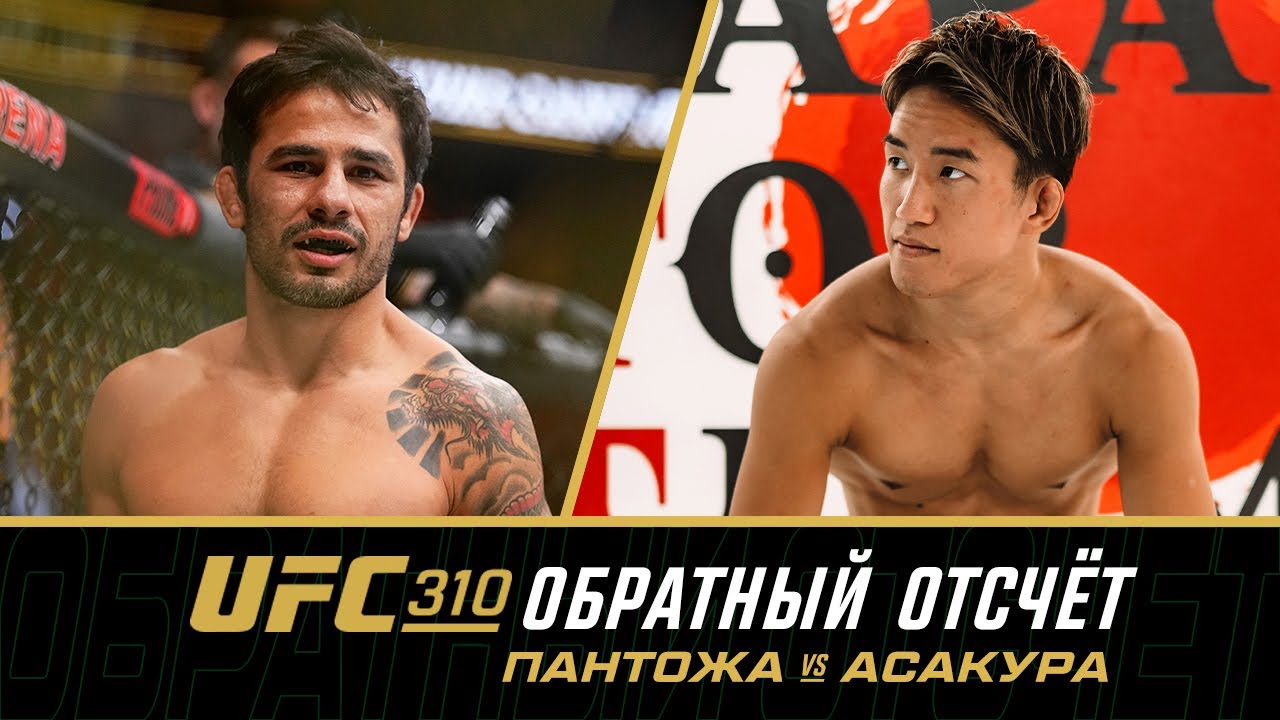 UFC 310 Обратный отсчет: Пантожа vs Асакура background