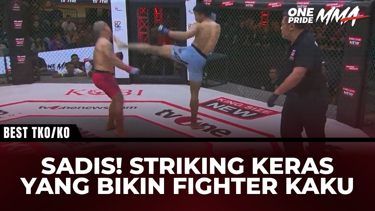 MENGERIKAN‼️Inilah Striking Paling Sadis yang Bikin Fighter Kaku Seketika | Best TKO/KO