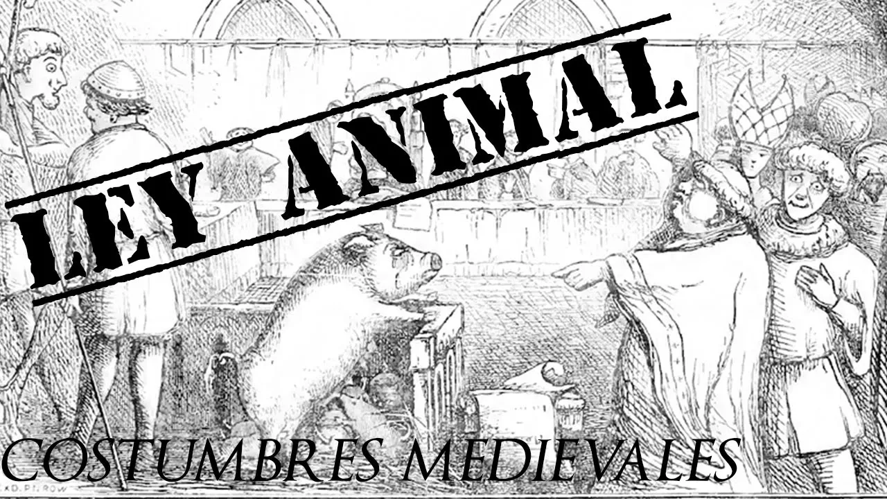 COSTUMBRES MEDIEVALES 9: JUZGAR ANIMALES