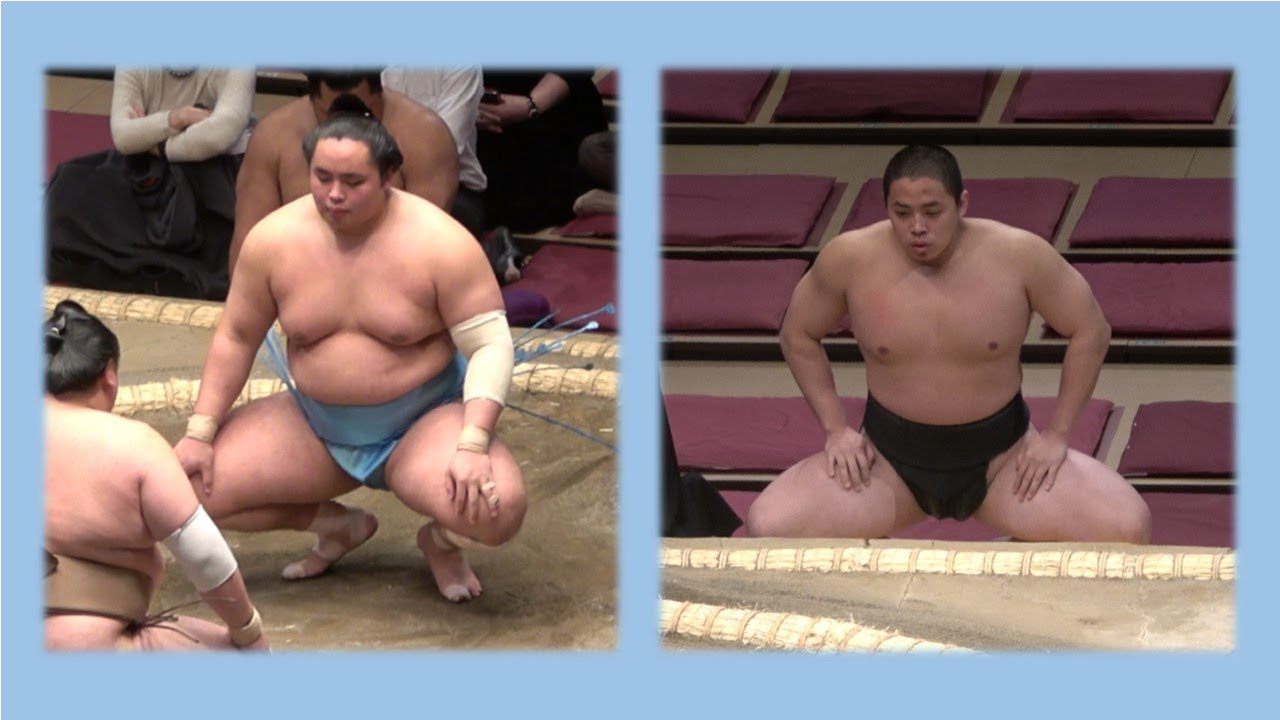 Tebakari Brothers: Sumo's bright new force