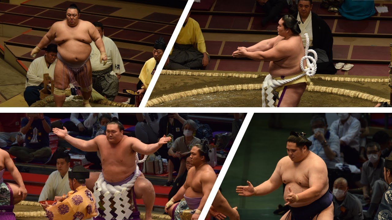 Terunofuji predicted Hakuho retirement + other sumo news (Oct 4th) background