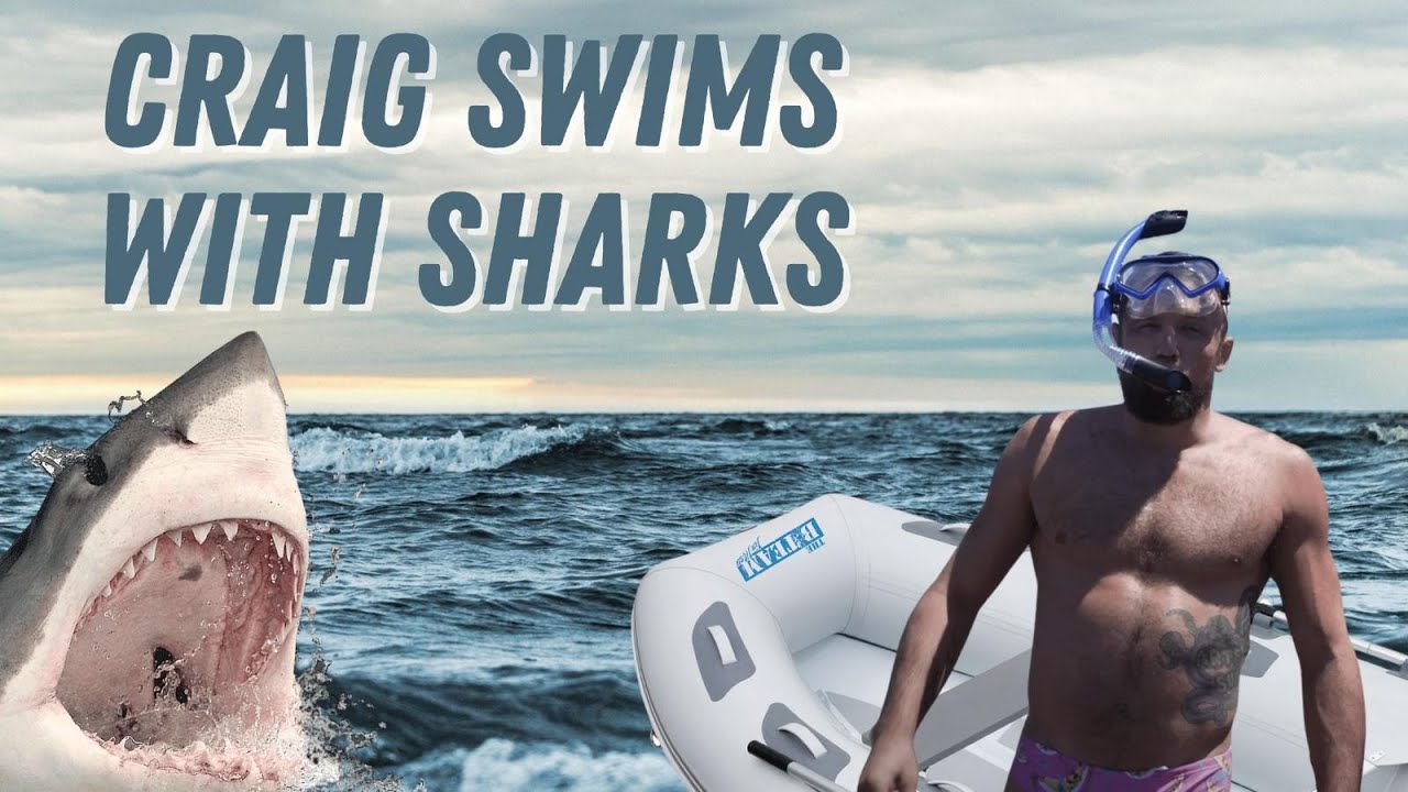 Swimming with sharks and rolling with the elderly