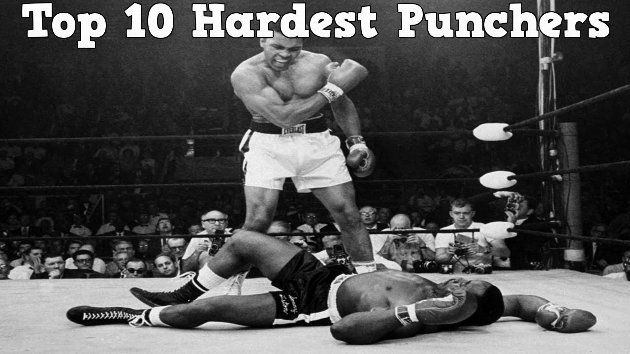 Top 10 Hardest Punchers in Boxing (haNZAgod)