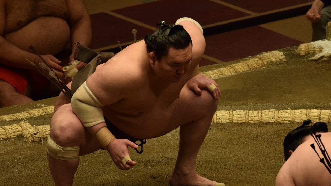 Hakuho to be denied honorary elder stock background