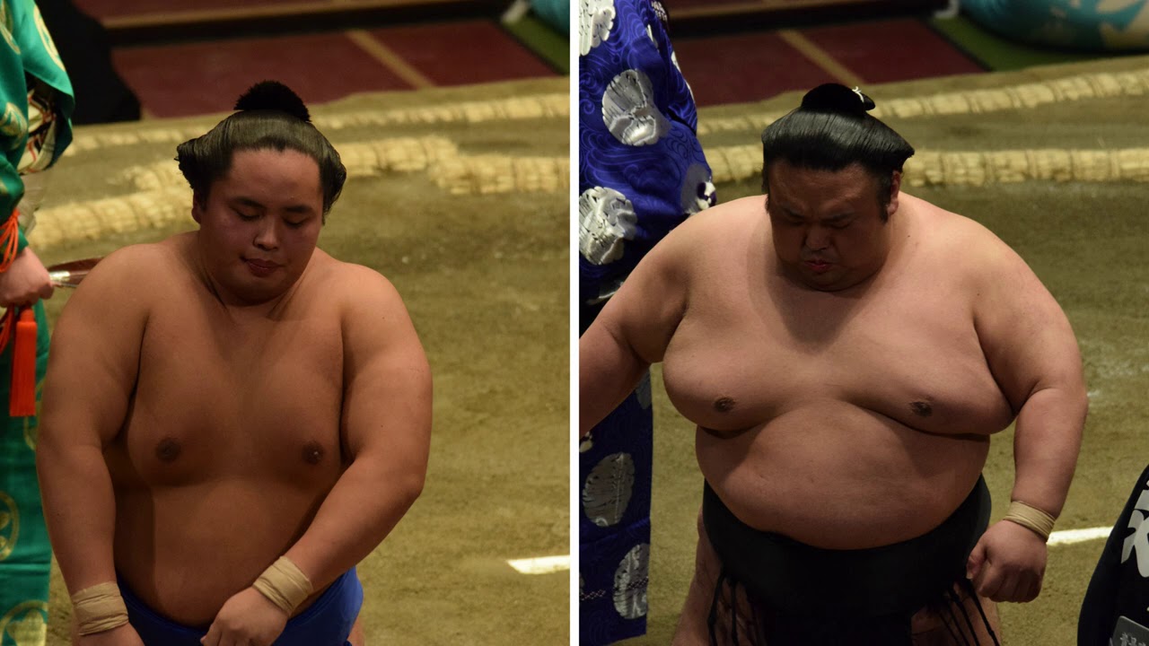 Sumo Day 11: Takakeisho, Terunofuji, Shimanoumi reaction