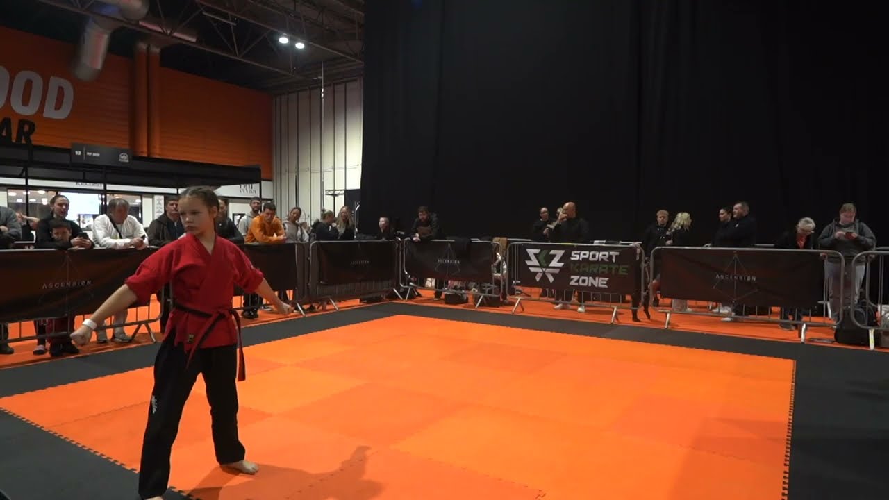 Zofia Kiergielewicz Musical Forms - Ascension Volume 2 Extreme Martial Arts Tournament background