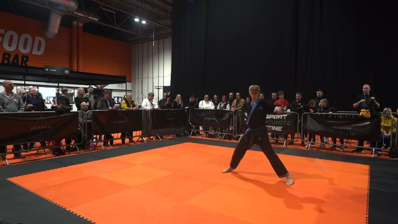 Leo Turner Musical Weapons - Ascension Volume 2 Extreme Martial Arts Tournament background