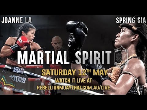 Gym Profile: Martial Spirit