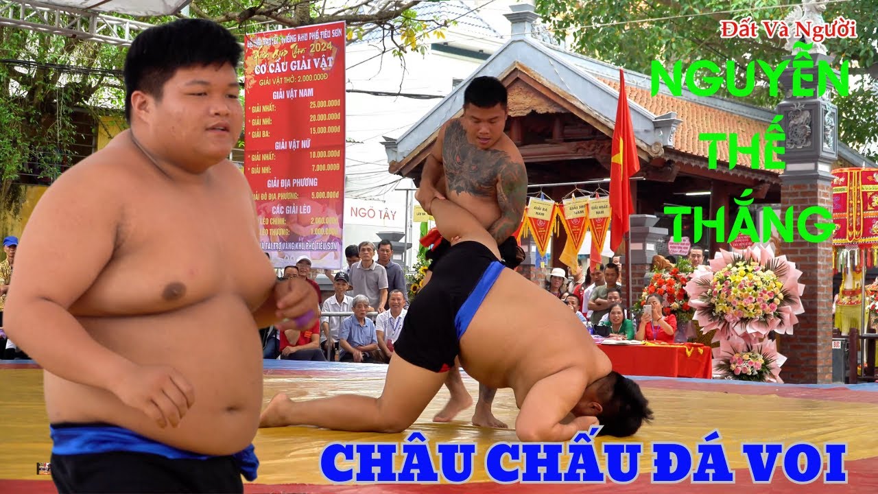 CHÂU CHẤU ĐÁ VOI , QUÁ HAY CHO NGUYỄN THẾ THẮNG nhỏ con nhưng nhiều miếng đánh hay Mens westing. background