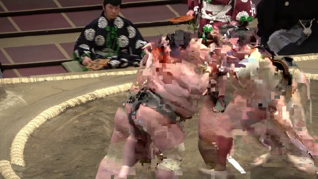 Awesome sumo fighting spirit: 2 background