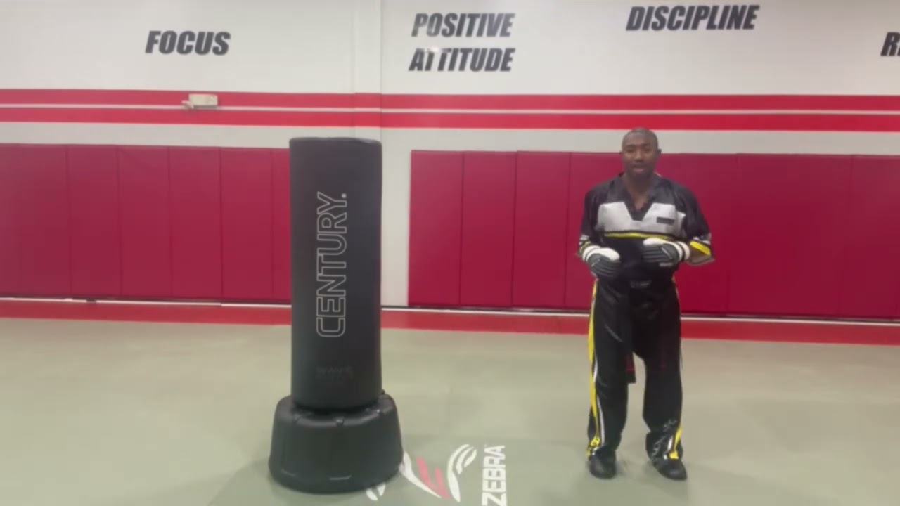 Three Backfist Variations by Kameren Ali - The Skill Zone